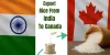 how-to-export-rice-from-india-to-canada-1024x512.jpg