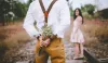 How to Find a Companion and Break Black Magic Permanently