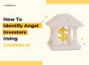 Can Leadzen.ai Identify Angel Investors For You?