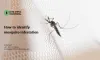 How to identify mosquitos infestation