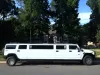 How to make your Limousine Ride or a Party Bus Hiring Cost-Effective in Denver CO? – Hit Travel Blog