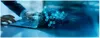 How to Prevent Cyber Attacks