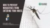 How to prevent mosquitoes from entering your house?
