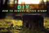 How To Remove A Tree Stump: A DIY Guide for Homeowners- Blog