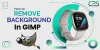 6 Easy Guide on How to Remove Backgrounds in Gimp