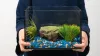How To Shift Your House with An Aquarium?
