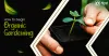 Organic Gardening- Your Personal Guide - Kool Stories