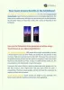 How Touch Screens Benefits at Exhibitions?