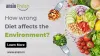 How the Wrong Diet Affects the Environment? - Ansio - Online Grocery Delivery in Chennai | Online Vegetables in Chennai