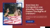 How Does an Immigration Law Attorney Chicago Protect the Rights of Children?