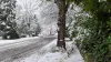 How Cold is London, England in winter?
