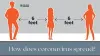 How does coronavirus spread?