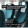 how_to_check_in_on_breeze_airways_online.jpg