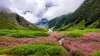 How to reach Valley of Flowers from Delhi​