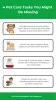 4 Essential Pet Care Tasks Every Owner Should Prioritize
