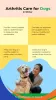 Managing Your Dog's Arthritis During Winter