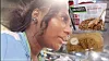 Grocery store, grocer or supermarket, will likely be a substantial chain of... &mdash; My cool blog 0513