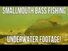 Basics of Rod Care and Maintenance