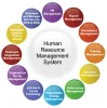 Understanding The Benefits of Hr Management System
