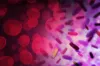 What are Pontiac Fever &amp; Legionnaires Disease - Expert Guidance