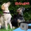 Comprar Localizador Collar GPS para Perros!
