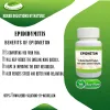 Epidmeton, Epididymitis Pain Relief Reduce Discomfort Naturally