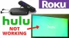 Roku Support - Hulu not working on Roku!