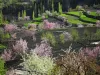 Hunza Cherry Blossom Tour 2023-24 - Booking Available Now