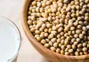 Hydrolyzed Vegetable Protein (HVP) Powder - Manufacturer & Suppliers India