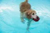 H2O For Fitness
