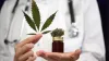 Online 420 Doctor Evaluation
