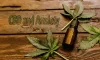 Does CBD Get You High?