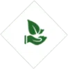 Cannabis Consultants Canada | Cannabis Act Consulting Services