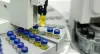 IATA CEIV Pharma certification for Dachser India's Mumbai, Hyderabad branches