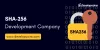 SHA-256 Algorithm Development | SHA-256 Algorithm Development Services Company - Developcoins