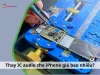 IC audio iPhone là gì? Thay IC Audio cho iPhone giá bao nhiêu?