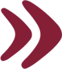 icon-next.png