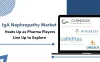 IgA-Nephropathy-market-size-share-trends-growth-cagr-population-epidemiology-therapy-therapeutics-treatment