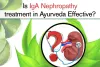 Is IgA Nephropathy treatment in Ayurveda Effective?