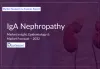 IgA Nephropathy (IgAN) Market Outlook | Emerging Therapies Analysis