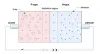 The Ultimate Guide to Semiconductor Junctions | Solar Labs