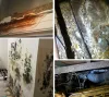 Professional Mould Removal Melbourne