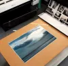 Fine art printing 