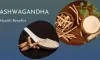 Health Benefits of Consuming Ashwagandha That You Need To Know