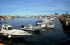 Best Boats For Day Cruising: How To Choose The Right One? | Premier Watersports