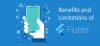 Pros and Cons of Flutter