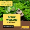 Ayurvedic Treatment in Himalaya at Cottage Nirvana: Why you should go for a detox vacation every year?