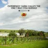 Easy Places To Cellar In Your Home Without Breaking The Bank - Melbourne Private Tours
