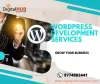 custom wordpress development services