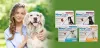 Buy Nexgard Online at Cheap Prices?